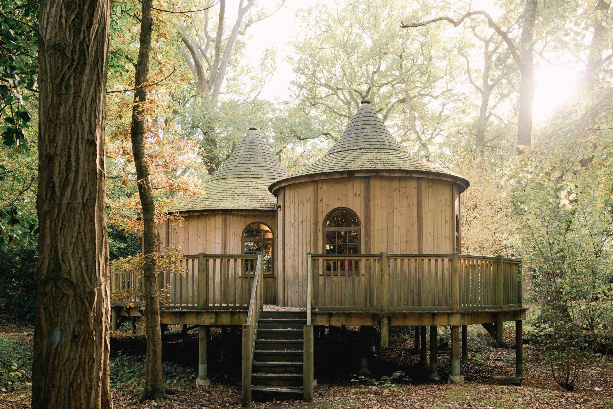 The Treehouse